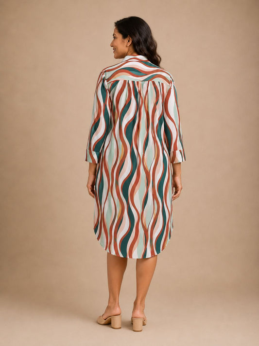 Brown Multi-color Shirt Dress